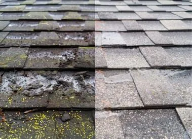 Roof before and after professional cleaning